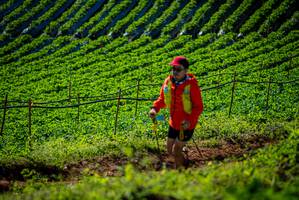 BIB: 
                            <button type="button" onclick="openModal(19160876)" class="btn btn-primary btn-sm float-right btn-popup" data-toggle="modal" data-target=".modal-high-quality">
                        <i class="fas fa-shopping-cart"></i> Add to Cart
                    </button>
                                            <button type="button" onclick="isThisMe(19160876, true)" class="btn btn-success btn-sm float-right btn-popup btn-isme hidden" data-toggle="tooltip" data-placement="bottom" title="นี่คือรูปของคุณใช่ไหม คลิกที่นี่เพื่อเอาเข้าอัลบั้ม">
                        <i class="fas fa-plus"></i> Add to album
                    </button>
                    <button type="button" onclick="isThisMe(19160876, false)" class="btn btn-warning btn-sm float-right btn-popup btn-isnotme hidden">
                        <i class="fas fa-ban"></i> Remove from album
                    </button>